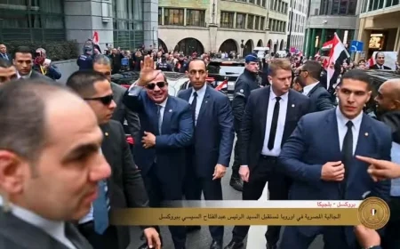 الجاليات المصرية في أوروبا تستقبل الرئيس السيسي بحفاوة عند وصوله بروكسل صور