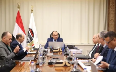 وزير قطاع الأعمال يعزز جهود التوافق مع آلية تعديل حدود الكربون لتحقيق التنمية المستدامة