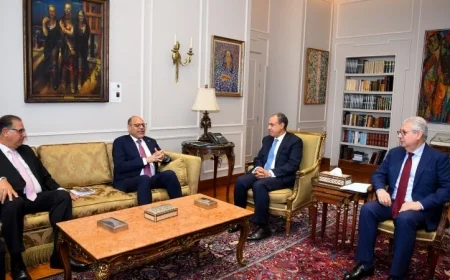 وزير الخارجية ووزير العمل يتناولان قضايا الهجرة والعمالة المصرية في الخارج