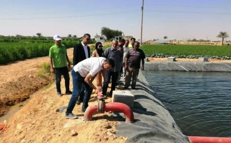 وزارة الزراعة تواصل جهود تطوير أنظمة الري ودعم المزارعين في المنيا وبني سويف