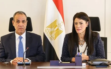 المشاط وعبد العاطي يبحثان سبل تعزيز التعاون لدعم التنمية الاقتصادية الفعالة