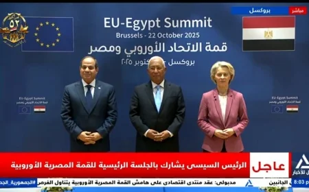 الاتحاد الأوروبي ومصر يعززان بيئة الاستثمار في مصر ويؤكدان على أهمية حل الدولتين