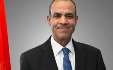 وزير الخارجية يصف القمة المصرية الأوروبية بأنها حدث تاريخي بارز