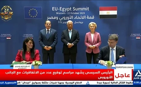 فيديو الرئيس السيسي يدشن اتفاقيات جديدة لتعزيز التعاون بين مصر والدول الأوروبية