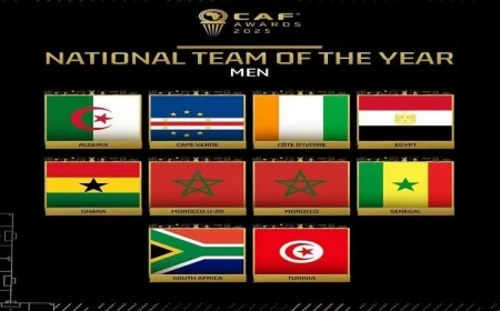 منتخب مصر بقيادة حسام حسن وبمشاركة محمد صلاح يتألق ضمن 11 نجمًا يمثلون الكرة المصرية