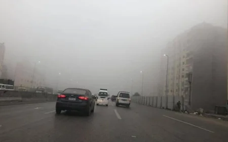 تحذيرات من الشبورة الكثيفة وارتفاع طفيف في درجات الحرارة العظمى بالقاهرة تصل إلى 34 درجة اليوم