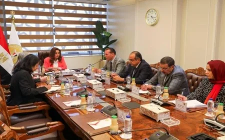 منال عوض تستعرض نتائج برنامج التنمية المحلية في صعيد مصر مع لجنة من البنك الدولي