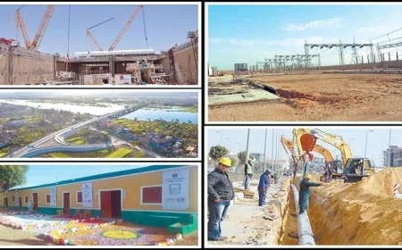 تنمية الصعيد تعزز التعاون مع محافظة الوادي الجديد لتعزيز التنمية المستدامة