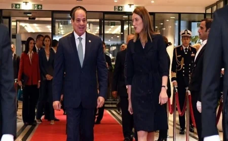 الرئيس السيسي يصل إلى بلجيكا للقاء الملك فيليب في المقر الملكي