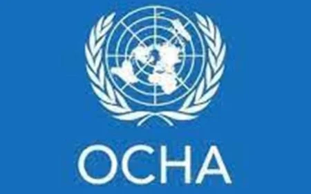 الأمم المتحدة تطالب بتعزيز التعاون الدولي لوقف العنف في دارفور