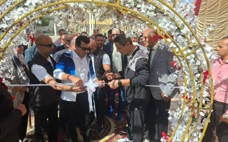 افتتاح ملعب خماسي بمركز شباب أبناء السويس بحضور وزير الشباب ومحافظ السويس