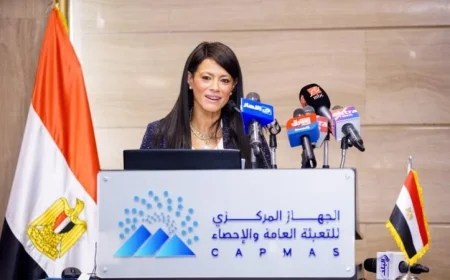 الإحصاءات أساس صنع القرار ودعم التنمية وفقا للمشاط