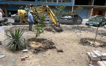 تجميل وتنمية 8 ميادين رئيسية في مدينة دمنهور بالإنارة والتشجير