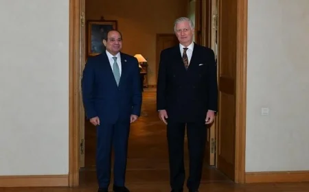 الرئيس السيسي يوجه دعوة للملك فيليب لحضور احتفالية افتتاح المتحف المصري الكبير