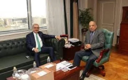 وزير الكهرباء ووزير قطاع الأعمال يناقشان تعزيز استخدام الطاقات المتجددة في مصر