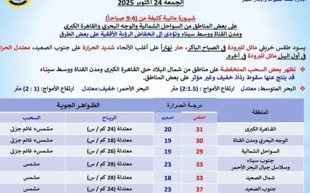 احصل على تفاصيل طقس الغد الخريفي المعتدل مع شبورة مائية كثيفة ودرجات حرارة تصل إلى 31 في القاهرة