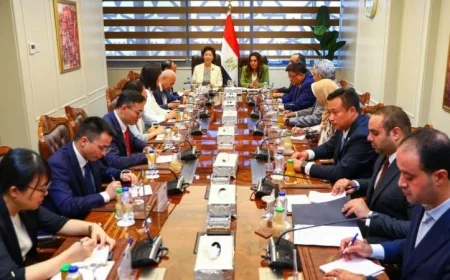 وزيرة التنمية المحلية تعقد لقاءً مثمراً مع وفد صيني لاستكشاف فرص التعاون المشترك