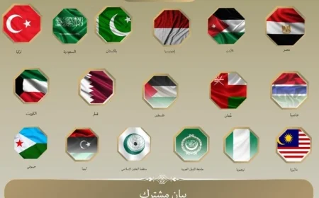 مصر و14 دولة تتضامن ضد تصديق الكنيست على قوانين لفرض السيادة على الضفة الغربية