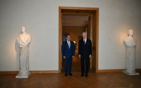 الرئيس السيسي يثني على حفاوة استقبال ملك بلجيكا في بروكسل