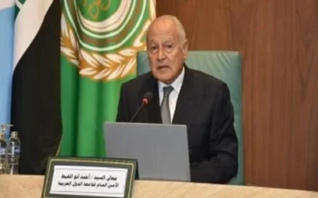 أبو الغيط يعبر عن إدانته لخطوات الاحتلال الإسرائيلي نحو ضم الأراضي الفلسطينية في الضفة الغربية