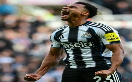 نيوكاسل يحقق انتصاراً مهماً على فولهام في الدوري الإنجليزي الممتاز