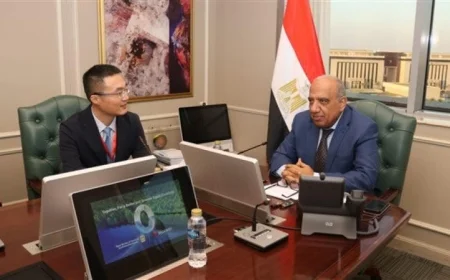 وزير الكهرباء يستعرض سبل التعاون مع هواوي في تخزين الطاقة والتحول الرقمي