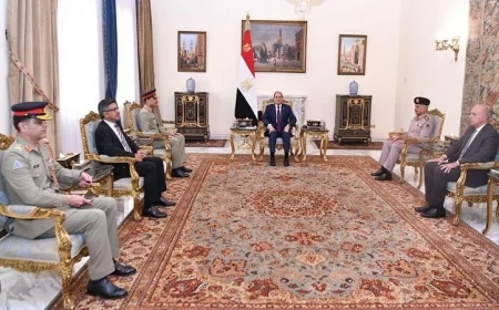 الرئيس السيسي يشيد بالتطور الملحوظ في العلاقات بين مصر وباكستان