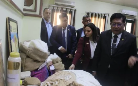 وفد من ميانمار يزور مركز البحوث الزراعية ويستعرض إنجازات معهد بحوث القطن