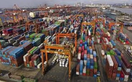 حصيلة بيع بضائع جمارك بعض المحافظات تتجاوز 28 مليون جنيه في مزاد علني ناجح