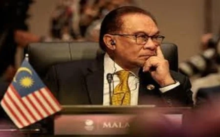 قادة ماليزيا وجنوب إفريقيا يؤكدون التزامهم بدعم قضية غزة على الساحة الدولية