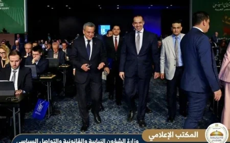 الحكومة ملزمة بتقديم تقارير دورية عن تنفيذ برنامجها وفقاً لتصريحات المستشار محمود فوزي