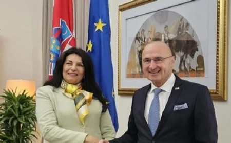 وزير الخارجية الكرواتي يثني على تأثير مصر المحوري في تعزيز السلام والاستقرار بالمنطقة