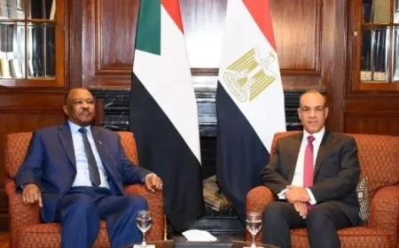وزير الخارجية المصري يؤكد دعم بلاده لوحدة السودان وسيادته وسلامة أراضيه ومؤسساته