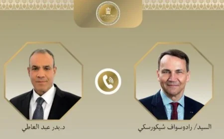 وزير الخارجية يؤكد ضرورة تعزيز اتفاق وقف إطلاق النار في غزة