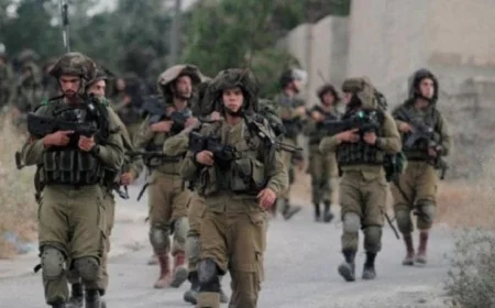 مقاومة الجدار الفلسطينية تواصل جهودها بعد تسجيل 259 اعتداء على قاطفي الزيتون منذ بداية الموسم