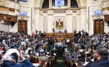 تعرف على مناقشات لجنة العلاقات الخارجية بالنواب حول تعديلات قانون رسم مباني الخارجية في الدول الأجنبية