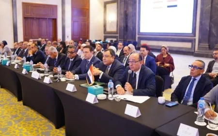 اجتماعات تحضيرية مثيرة للخبراء في اللجنة العليا المصرية اللبنانية تبدأ الآن