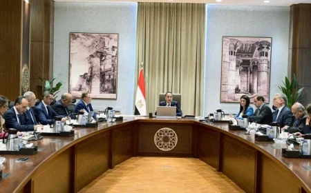 مدبولي يؤكد أهمية التوسع في مشاريع الطاقة المتجددة وإدخالها بسرعة للخدمة