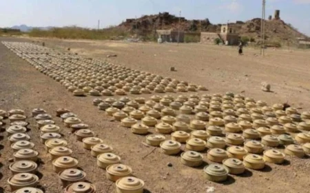 مركز الملك سلمان للإغاثة ينجح في نزع 805 ألغام من الأراضي اليمنية خلال أسبوع ضمن مشروع مسام
