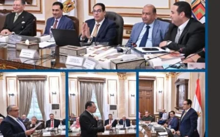 جامعة القاهرة تعلن عن 26 منحة دراسية كاملة لأبناء المحافظات الحدودية