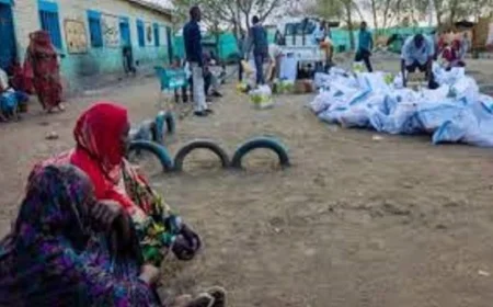 منظمة الصحة العالمية تندد بمقتل مئات المرضى في مستشفى الفاشر وتدعو إلى محاسبة المسؤولين