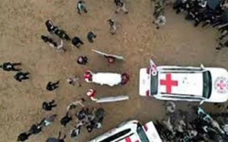 جيش الاحتلال يؤكد تسلم جثماني اثنين من المحتجزين بواسطة الصليب الأحمر