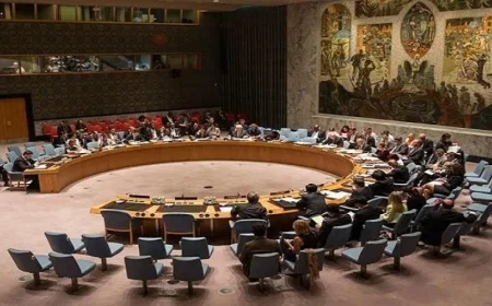 مجلس الأمن يدين مليشيا الدعم السريع ويؤكد رفضه لقيام حكومة موازية في السودان