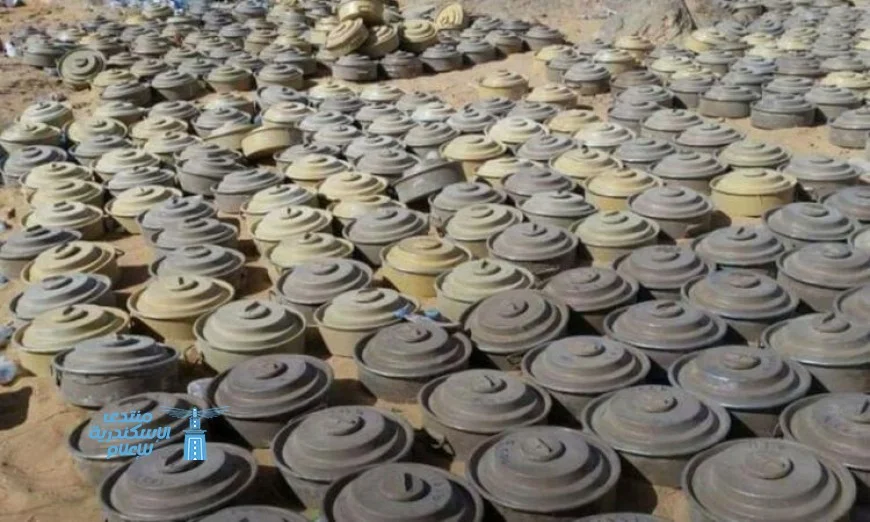 مسام يعزز الأمان في اليمن بنزع 4176 لغمًا خلال سبتمبر الجاري عبر مركز الملك سلمان للإغاثة