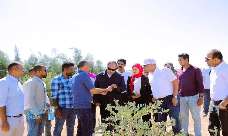 رئيس هيئة تنمية الصعيد يستعرض تقدم مشروع زراعة الجوجوبا في الغردقة