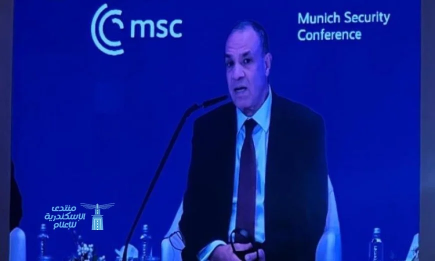 جهود مصرية حثيثة لإنهاء العدوان الإسرائيلي على غزة: استعراض وزير الخارجية