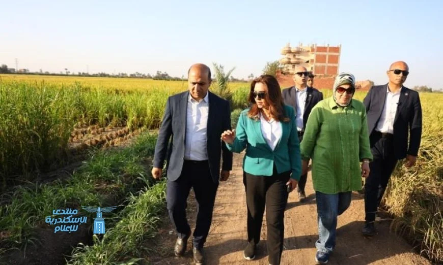 د. منال عوض في جولة مفاجئة تطالب بسرعة جمع قش الأرز للاستفادة منه وحمايته من الحرق