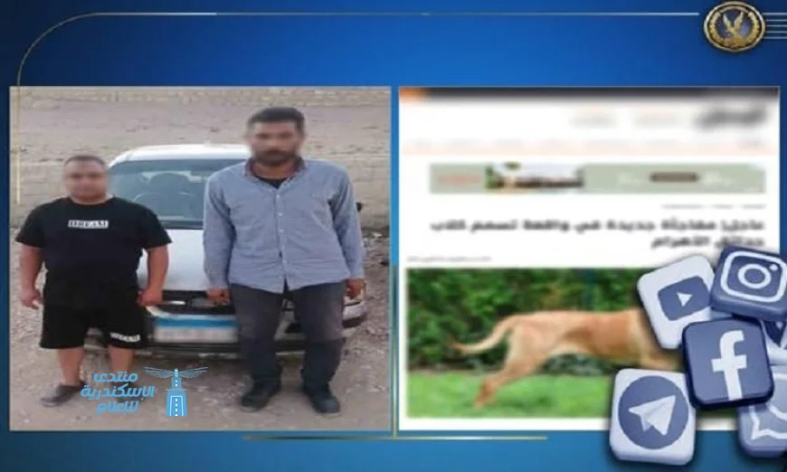 إلقاء القبض على شخصين لتسميم كلاب ضالة بالطعام