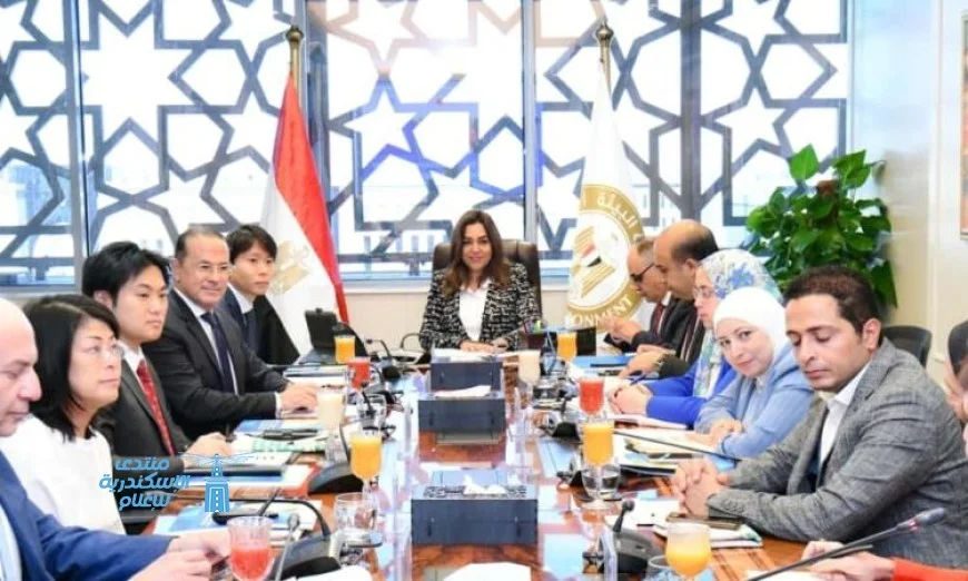 منال عوض: سرعة إنشاء مصانع بدائل البلاستيك تعزز التنمية في المدن المصرية