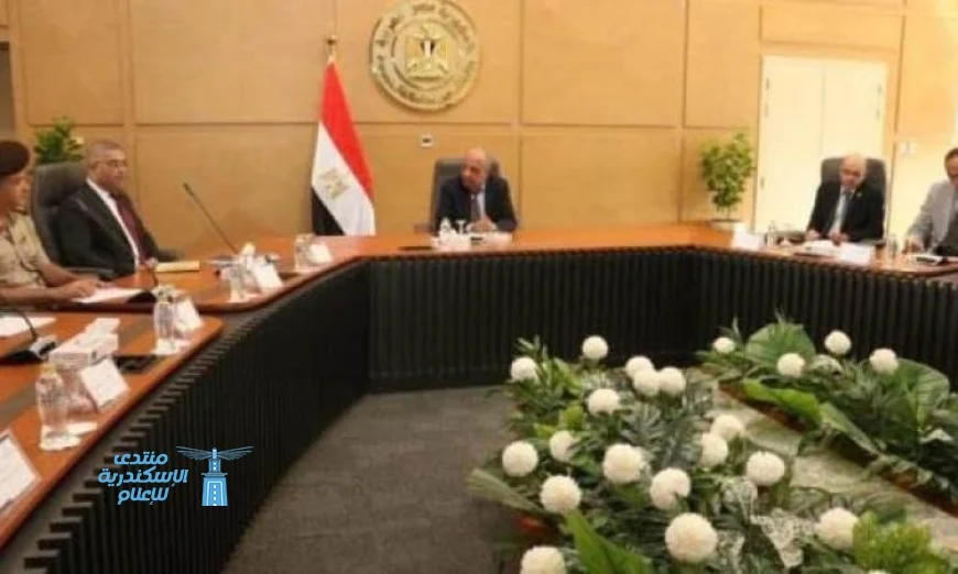 لجنة استغلال العناصر الأرضية النادرة في الكهرباء تستعرض سبل تعزيز العوائد الاقتصادية